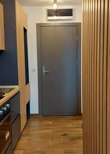 Jovanovic,kopaonik 公寓 *