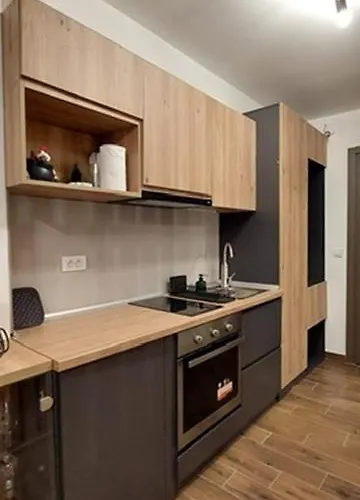 Jovanovic,kopaonik 公寓 *