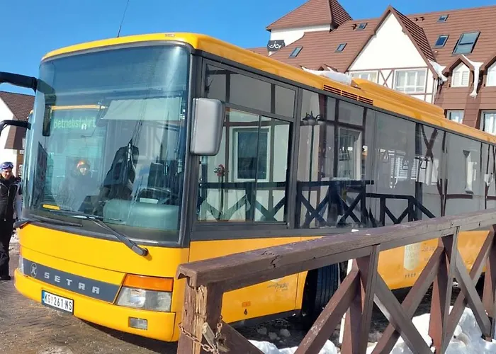 Jovanovic,kopaonik 公寓