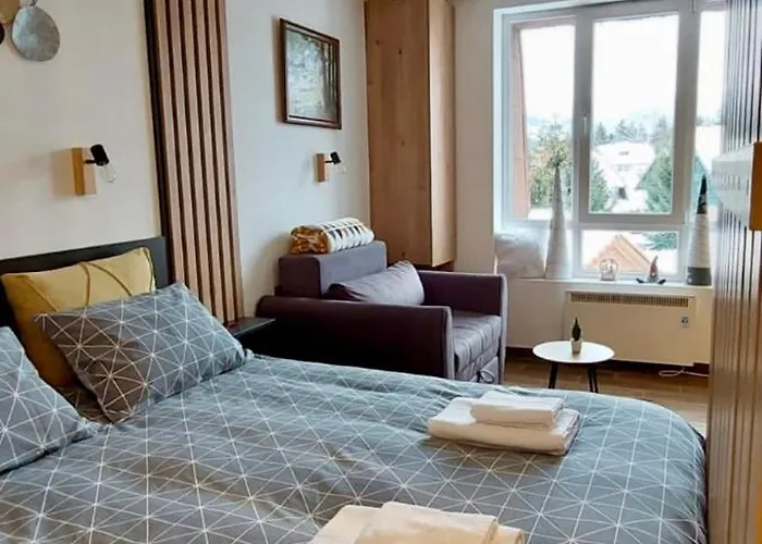 公寓 Jovanovic,kopaonik *