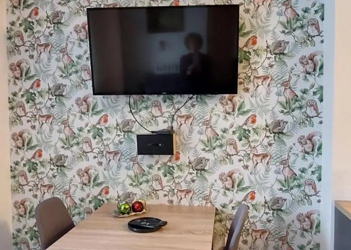 Jovanovic,kopaonik 公寓