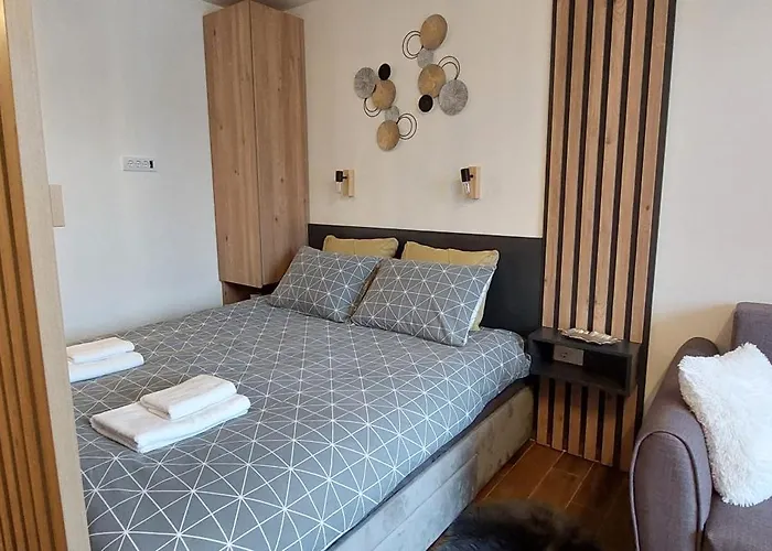 公寓 Jovanovic,kopaonik 科帕奥尼克