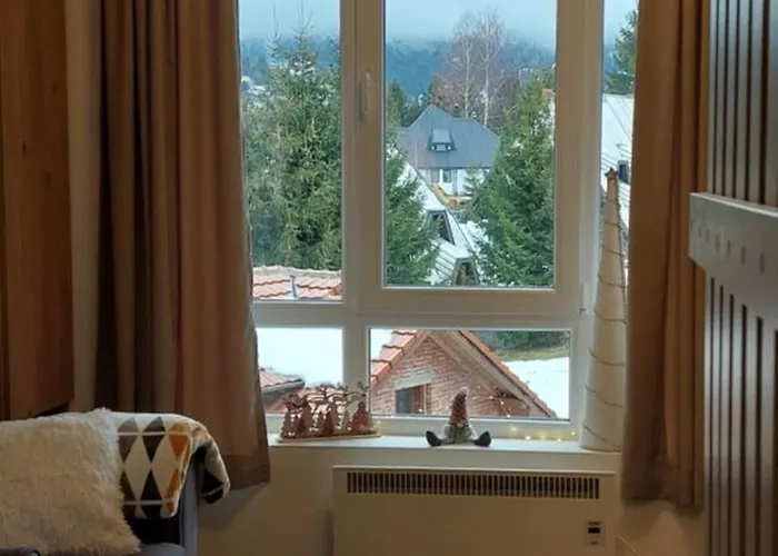 Jovanovic,kopaonik 公寓 科帕奥尼克